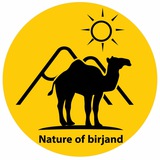 Telegram profile photo for nature_of_east
