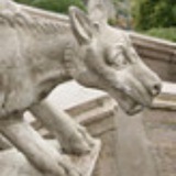Telegram profile photo for ДНК, книги, котики
