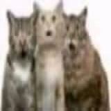 Telegram profile photo for ПЕРЕХОДНИК