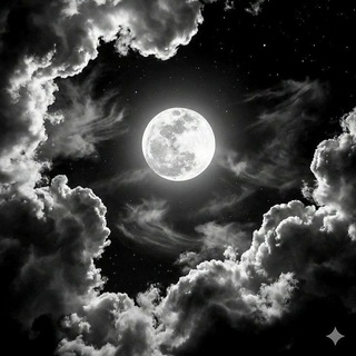Telegram profile photo for ❤️🩹𝐀𝐭𝐞𝐫𝐚𝐟𝐚𝐭𝐞 𝐍𝐢𝐦𝐞𝐡𝐬𝐚𝐛🌒