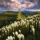 Telegram profile photo for Природа