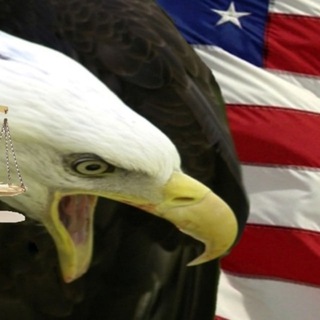 Telegram profile photo for Patriot Breaking News And Views
