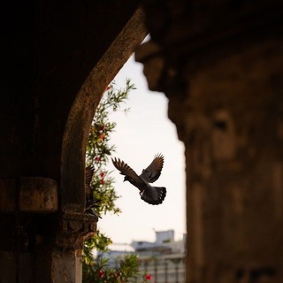 Telegram profile photo for هِنْد.