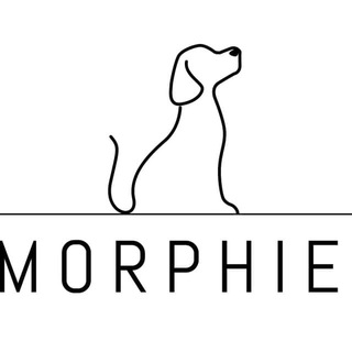 Telegram profile photo for MorphieNetworkAnn