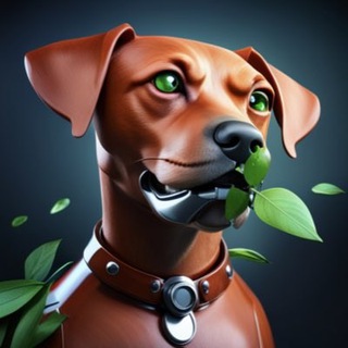 Telegram profile photo for AIPoppy News Channel