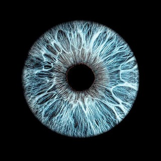 Telegram profile photo for Одесский глаз | Одесса ИНФО