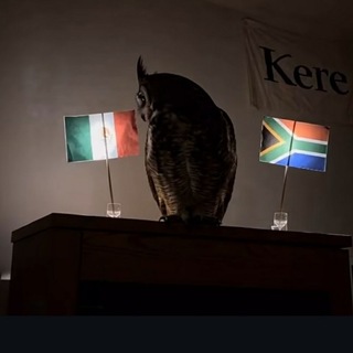 Telegram profile photo for جام جهانی 🏆