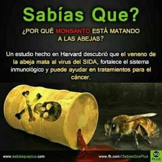 Telegram profile photo for Marcha Contra Monsanto/Bayer