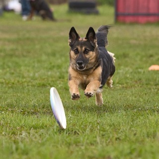 Telegram profile photo for Beyond the Sit