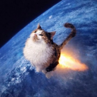 Telegram profile photo for -скотобойня Мифы.