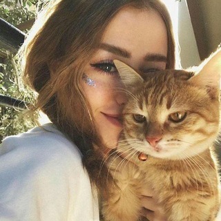 Telegram profile photo for لینکدونی مشهدیا خراسان
