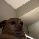 Telegram profile photo for Memes😂