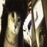 Telegram profile photo for Ugly but cool