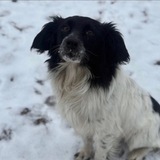 Telegram profile photo for игры/лоты от ❤️АЛИ/ЛАККИ ❤️