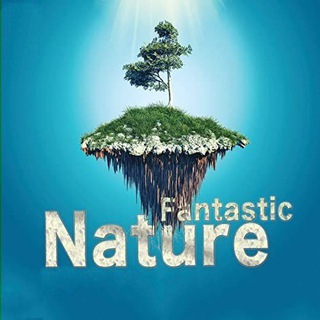 Telegram profile photo for Fantastic Nature π³π
