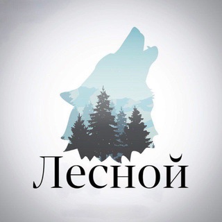 Telegram profile photo for Лесной - Фотографии леса, природы