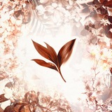 Telegram profile photo for 𝙍𝙤𝙡𝙚𝙨 𝙏𝙃𝙍