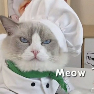 Telegram profile photo for Master chef