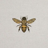 Telegram profile photo for 🐝🐝🐝🐝