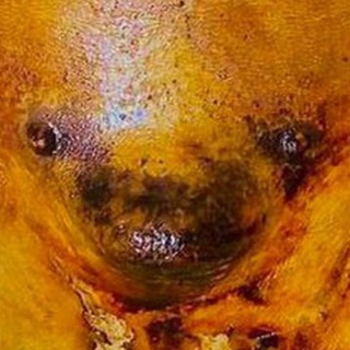 Telegram profile photo for Г І П Е Р Б О Л О Н Ь