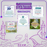 Telegram profile photo for صور مسند SAWIRADA MUSNAD