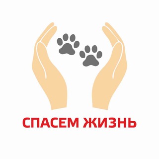 Telegram profile photo for СПАСЕМ ЖИЗНЬ | Волонтерское движение в защиту животных