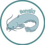 Telegram profile photo for somiki
