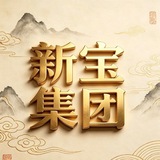 Telegram profile photo for 新宝集团👀专用频道