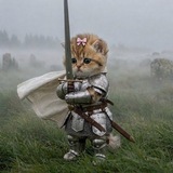 Telegram profile photo for Bundle Cat