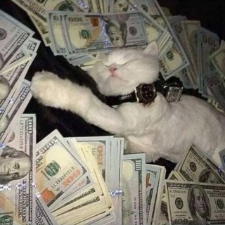 Telegram profile photo for publicgroupchatlol