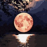 Telegram profile photo for ИБН АЛЬ КАЙЙИМ - Полезные наставления. Напоминания