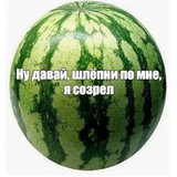 Telegram profile photo for бубуз политро🍉