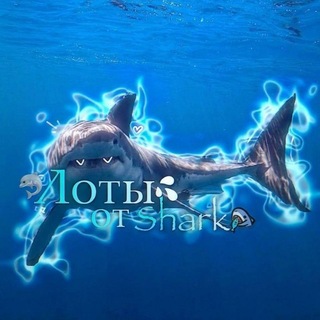 Telegram profile photo for Лоты от Shark🦈
