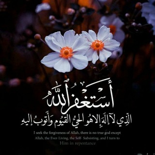 Telegram profile photo for قرآن الكريم