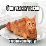 Telegram profile photo for Попёрло (куда?) (сюда)