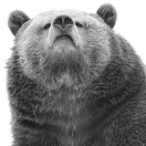 Telegram profile photo for Идейный Воин 🤙🏻🇷🇺