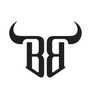 Telegram profile photo for BitBalkan