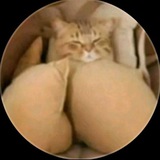 Telegram profile photo for Davido Instablog Tunde ednut