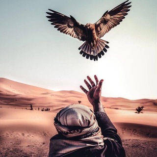 Telegram profile photo for Алма-Ата