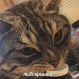 Telegram profile photo for тётя-крыса