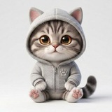 Telegram profile photo for Noshi Cat
