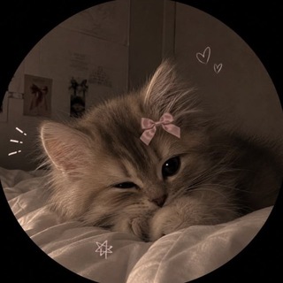 Telegram profile photo for eup VENERKA