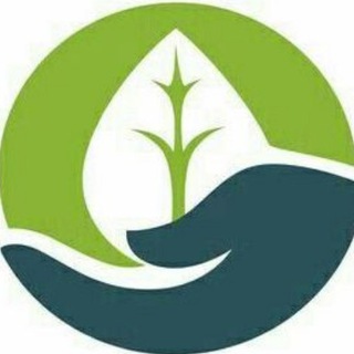 Telegram profile photo for Green Church / Вечные ответы на вызовы времени