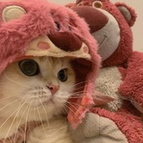 Telegram profile photo for кошачий гороскоп