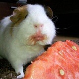 Telegram profile photo for Подвальные сухари 3 корочки