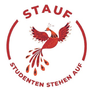 Telegram profile photo for STAUF (Offizieller Kanal)
