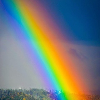 Telegram group profile photo for РАДУГА ▫️ Волонтеры Мариуполь
