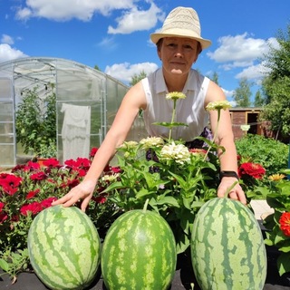 Telegram profile photo for Елена Селиванова
