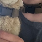 Telegram profile photo for shitttpost | Lieber allein, als missverstanden zu werden.