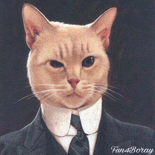 Telegram profile photo for Fun4Boray